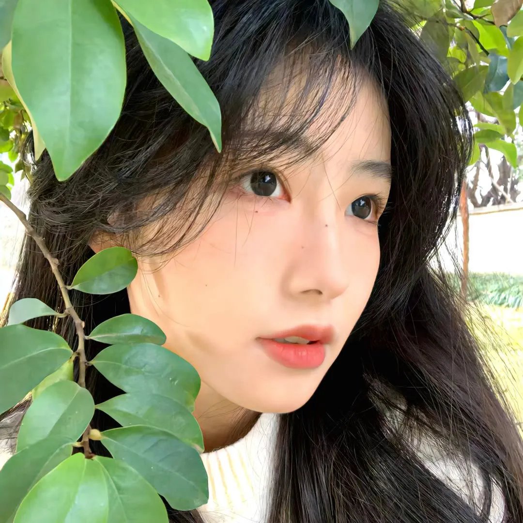 孤恋花